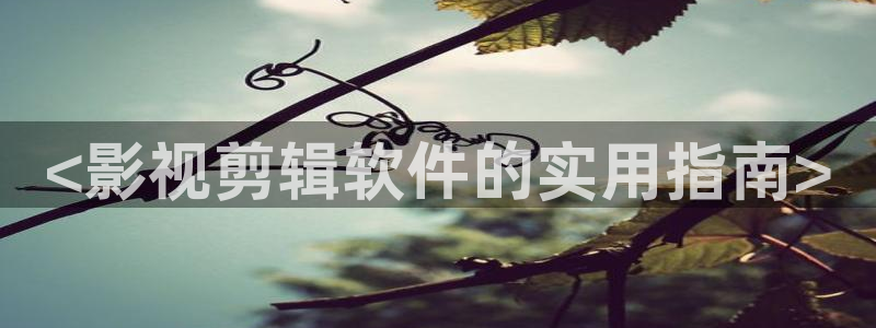 秋霞免费网址：<影视剪辑软件的实用指南>