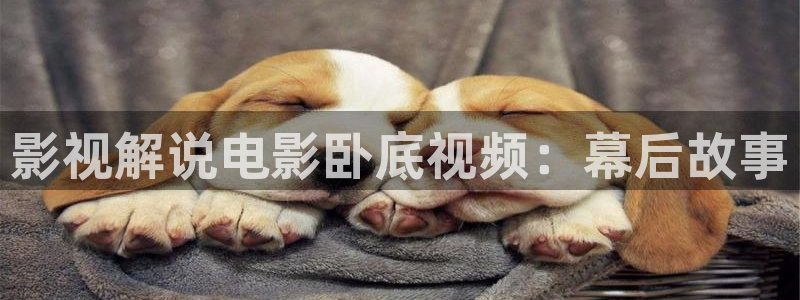 秋霞电影,：影视解说电影卧底视频：幕后故事