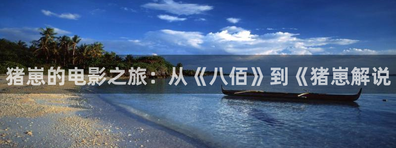 日本秋霞网：猪崽的电影之旅：从《八佰》到《猪崽解说