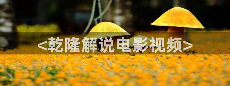 秋霞电影妈妈的朋友：<乾隆解说电影视频>