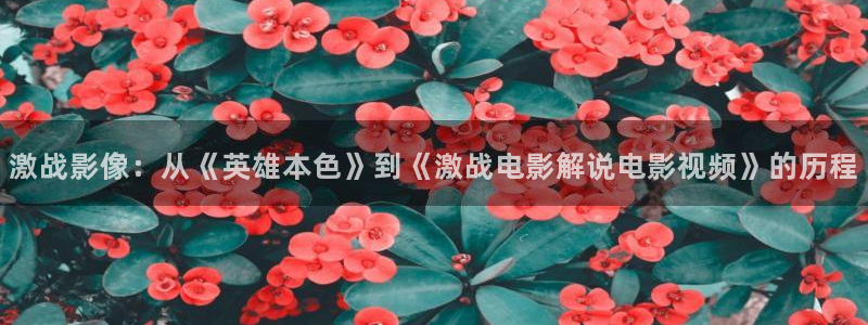 秋霞ab电影：激战影像：从《英雄本色》到《激战电影解说电影视频》的历程