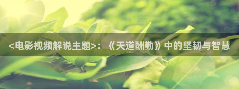 秋霞电影天堂在线观看：<电影视频解说主题>：《天道酬勤》中的坚韧与智慧
