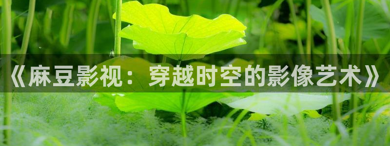 秋霞电影免费在线：《麻豆影视：穿越时空的影像艺术》