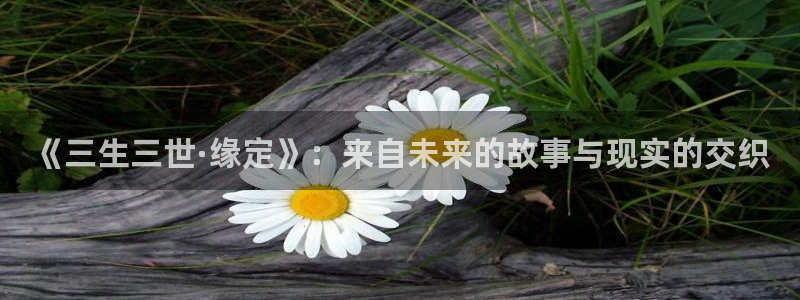 秋霞网络电影：《三生三世·缘定》：来自未来的故事与现实的交织
