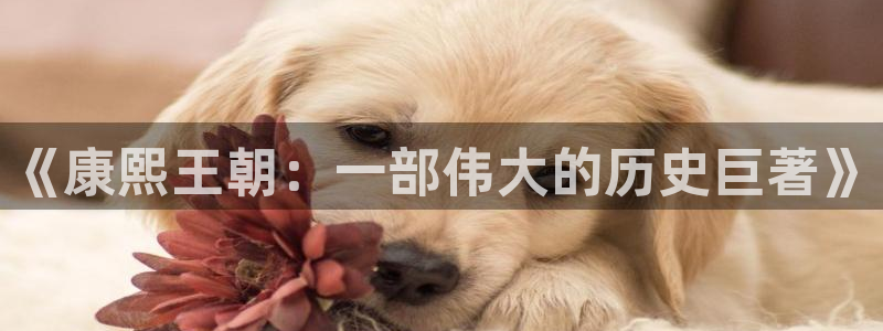 秋霞性网站：《康熙王朝：一部伟大的历史巨著》