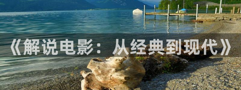 秋霞电影破解版：《解说电影：从经典到现代》