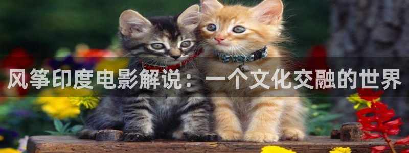 秋霞中文电影：风筝印度电影解说：一个文化交融的世界