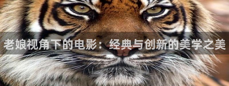 飘花影院秋霞：老娘视角下的电影：经典与创新的美学之美