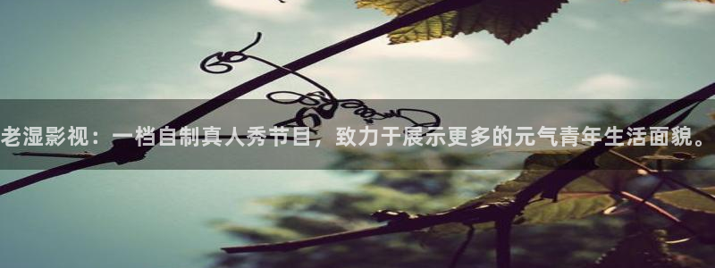 秋霞电影在线观看手机：老湿影视：一档自制真人秀节目，致力于展示更多的元气青年生活面貌。