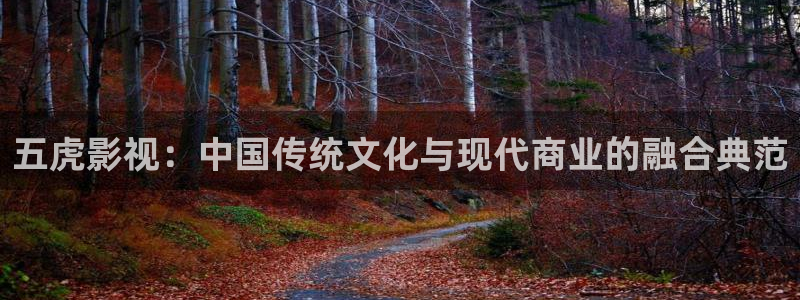 秋霞理伦网：五虎影视：中国传统文化与现代商业的融合典范