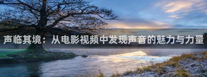 秋霞瓜皮影院：声临其境：从电影视频中发现声音的魅力与力量