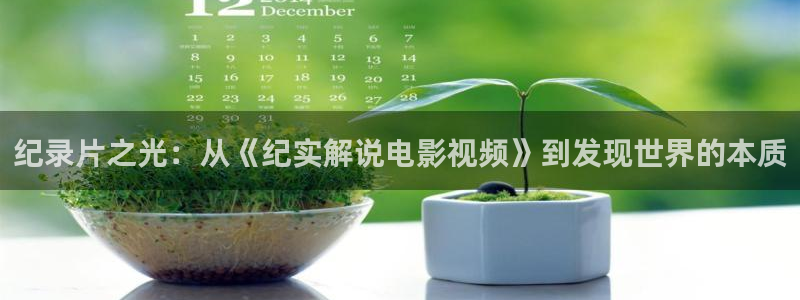 秋霞网色：纪录片之光：从《纪实解说电影视频》到发现世界的本质