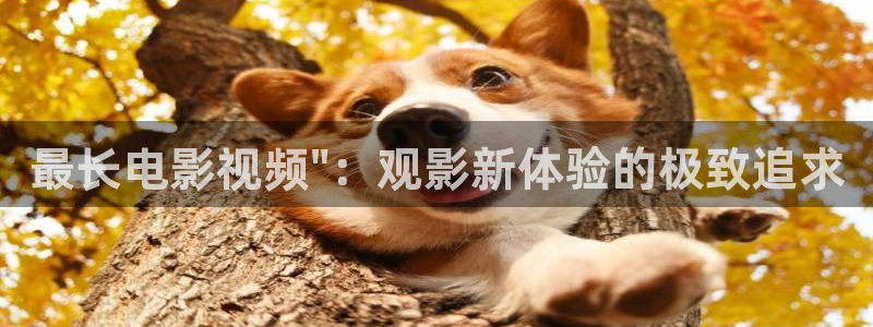 电影 秋霞：最长电影视频\