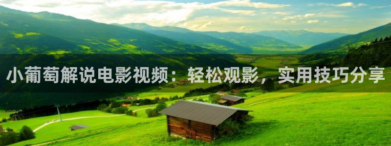 秋霞电影网理论：小葡萄解说电影视频：轻松观影，实用技巧分享