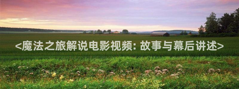秋霞网免费观看